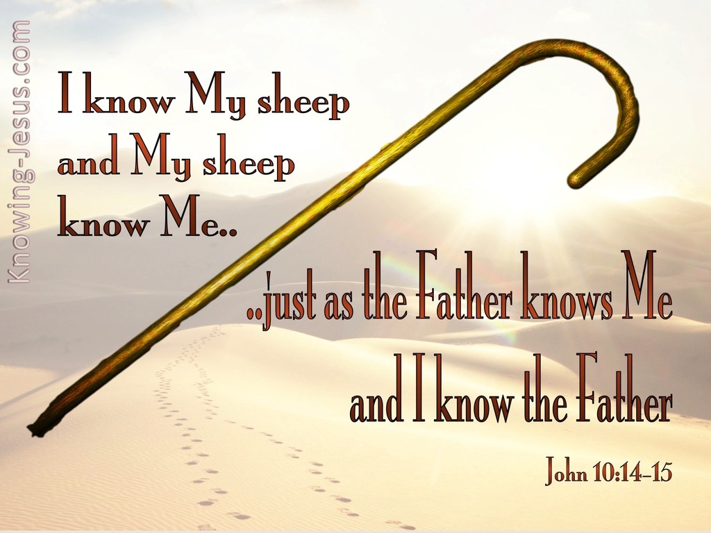 John 10:14 I Know My Sheep And My Sheep Know Me (white)